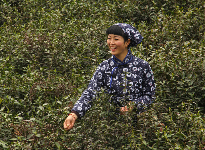 主播跳舞 影视7